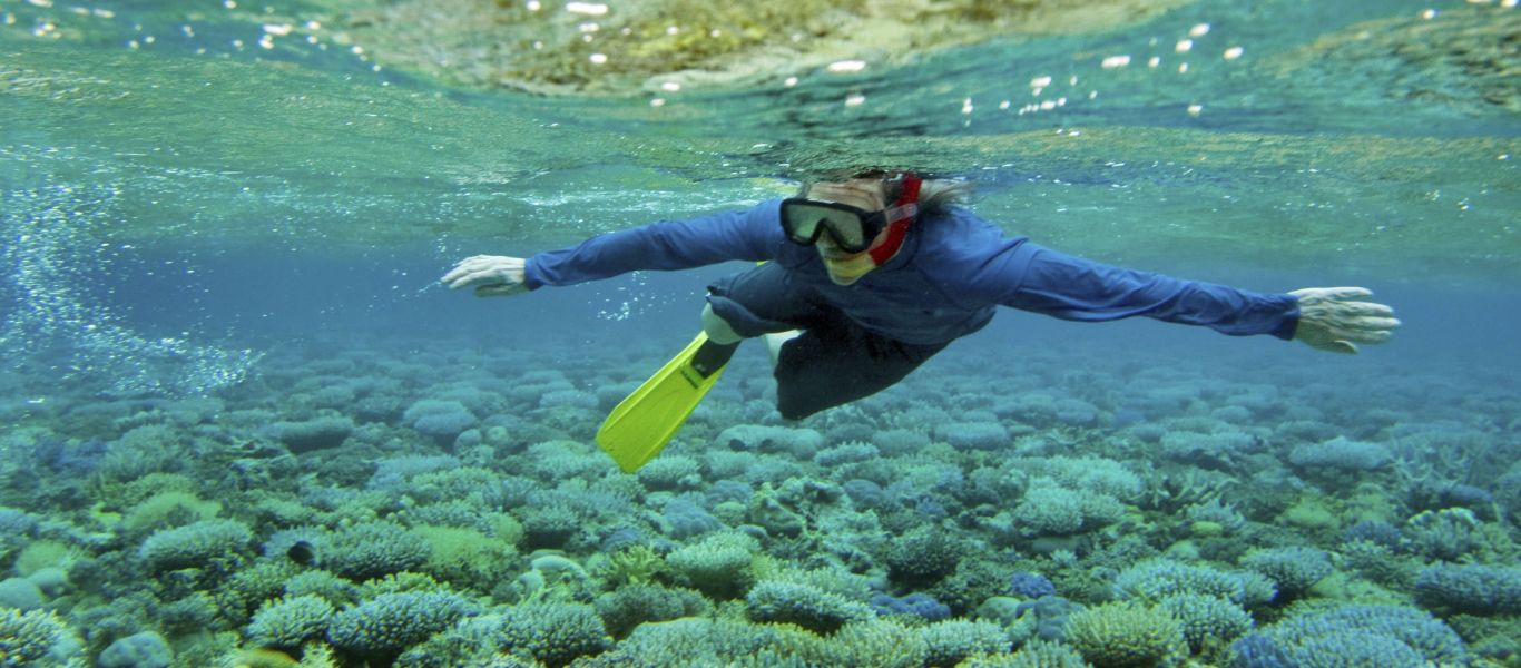 Visit Joiplay: The Ultimate Android Emulator for RPG Maker Games – Dan Seap